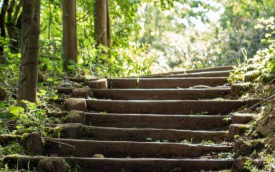 The Missing Stair Phenomenon in Unhealthy Family Systems: Repair vs. Estrangement